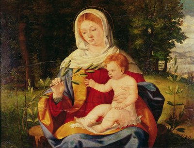 The Virgin and Child with a Shoot of Olive, c.1515 by Andrea Previtali